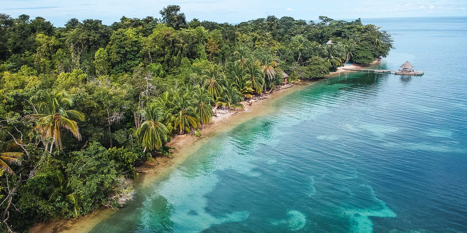 L'été sous les tropiques, offert par Ubbink